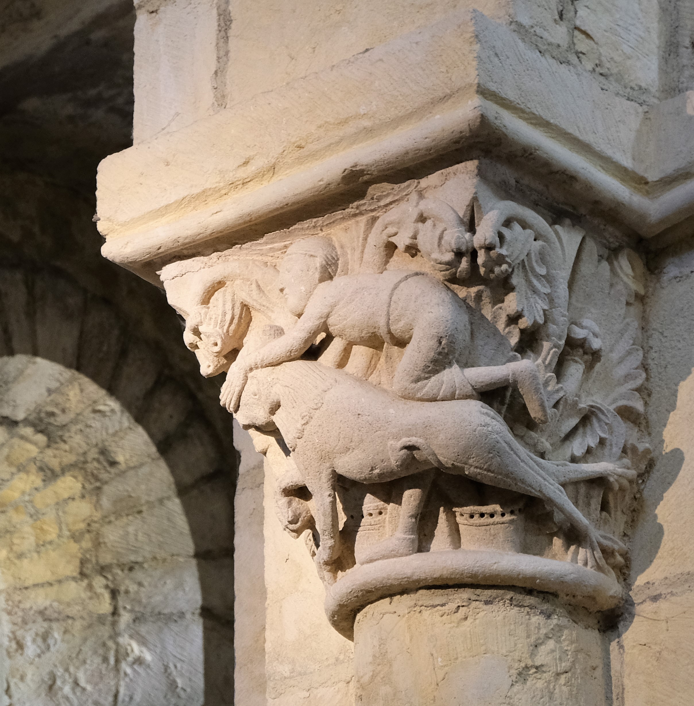 AnzyLeDucCapitelliM9