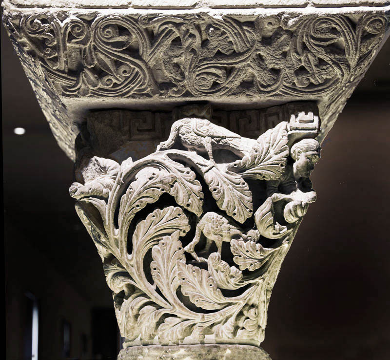 CapitelloProvvidenza1